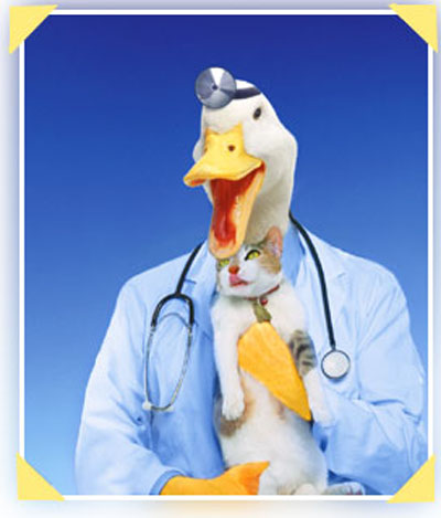 1285610338-quack-doctor1