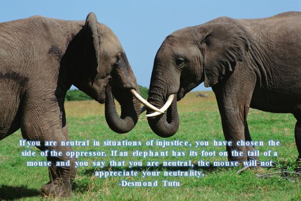 screen-shot-2016-10-07-at-12-44-04-pm