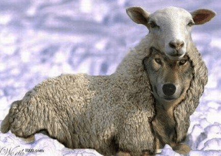 screen-shot-2015-01-09-at-1-59-40-am